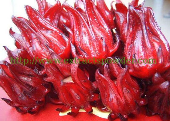 100% natural roselle extract 10:1, 20:1 for solid drinks