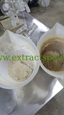 Triptolide powder Triperygium wilfordii Extract Case No.: 38748-32-2