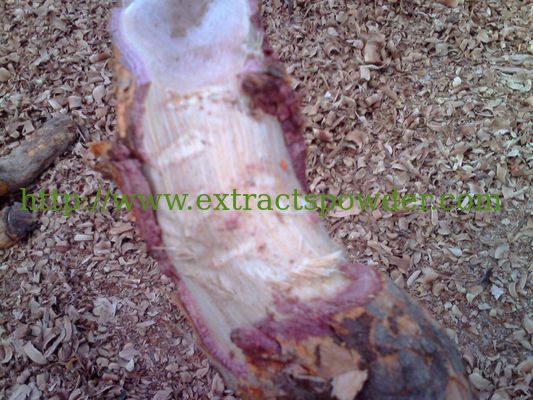 Natural Triptolide 98%, Tripterine 98% Cas: 38748-32-2,34157-83-0