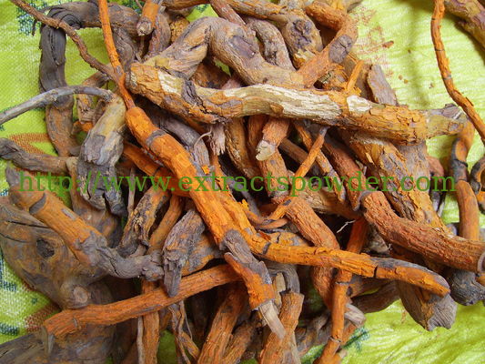 Tripterygium wilfordii extract powder triptolide 99hplc 1g,2g,10g,50g