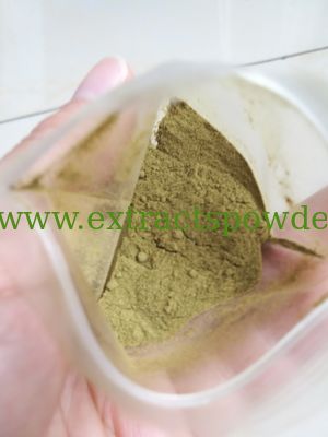 echinacea extract echinacoside