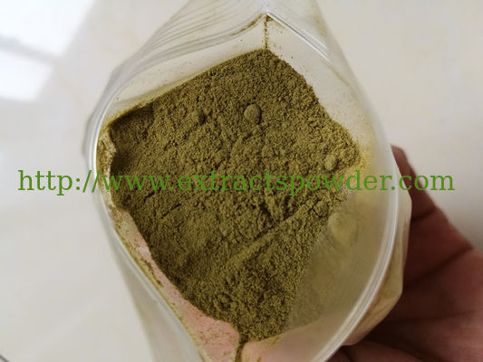 food supplement echinacea purpurea extract CAS No.: 90028-20-9