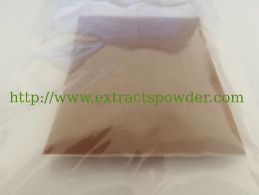 Ganoderma Extract 30%Polysaccharides, 2%Triterpene