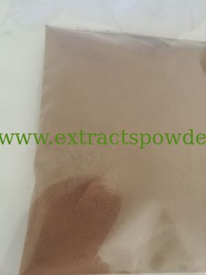 Reishi mushroom Polysaccharide 10% UV, Triterpenoid 8% HPLC