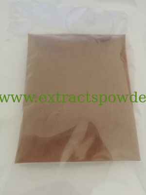Reishi mushroom Polysaccharide 10% UV, Triterpenoid 8% HPLC