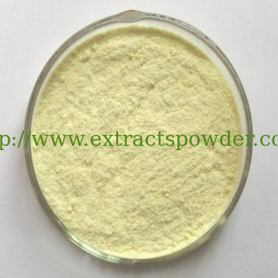 Troxerutin Sophora Japonica Extract, Troxerutin 98% Cas: 7085-55-4