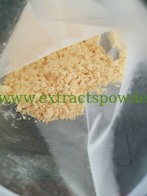 panax notoginseng leaf p.e. notoginsenoside powder CAS No.: 80418-24-2