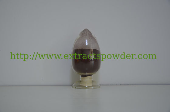 good water soluble Puer tea/Pu'er tea /Pu-erh tea extract for functional drinks