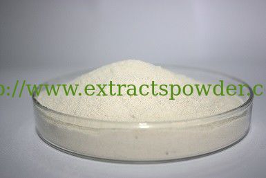 pepsin, pepsin enzyme, pharm &food grade pepsin powder cas. 9001-75-6