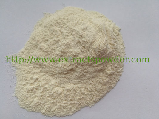 shark cartilage powder, fine shark cartilage powder, sharek cartilage powder for health supplement