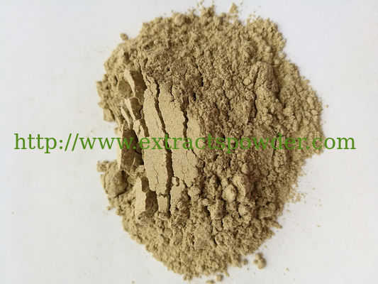 sea cucumber freeze dried powder, FD sea cucumber powder, lyophilized sea cucumber powder