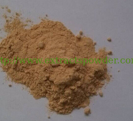 brewer yeast, brewer yeast powder, beer yeast powder food/feed grade