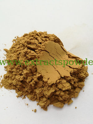 thorn/spikes prickly sea cucumber powder, stichopus japonicus powder, sea cucumber protein