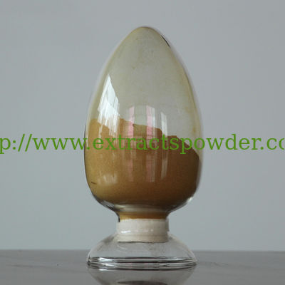 buffalo horn extract, buffalo horn extract powder, buffalo horn P.E., cornu bubali extract