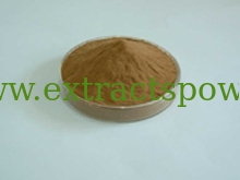 Dioscorea Nipponica Extract,Dioscorea Nipponica Extract Powder,Dioscorea Nipponica P.E.