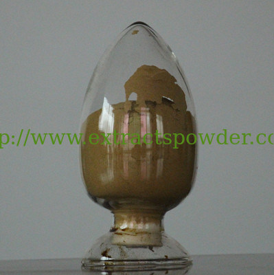 Salvia Root Extract,Salvia Root Extract Powder,Tanshinone II A,Salvia miltiorrhiza bunge