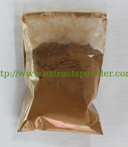 Cactus Extract 5:1,10:1,20:1 Using for slimming and weight loss