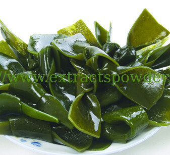 5%-50% Fucoxanthin,natural Kelp Extract Fucoxanthin for weight loss CAS NO. :3351-86-8