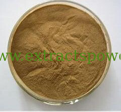 Fructus Corni Extract,Fructus Corni Extract Powder,Fructus Corni P.E.,Loganin