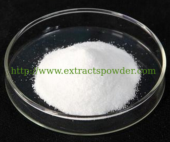 Budybuilding Products L-Carnitine HCL,  L-Carnitine Hydrochloride 98% CAS: 10017-44-4