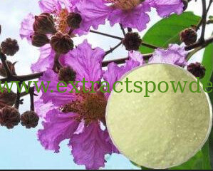 5%20%40%corosolic acid,Banaba Leaf Extract,Lagerstroemia speciosa extract  CAS: 4547-24-4