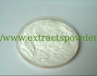 Black Sesame Seed Extract,Black Sesame Seed Extract Powder,Sesame P.E.10%-98% Sesamin
