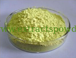 Acetate Gossypol powder,Cotton Seed Extract Powder,Gossypium herbaceum Cas. No.:12542-36-8