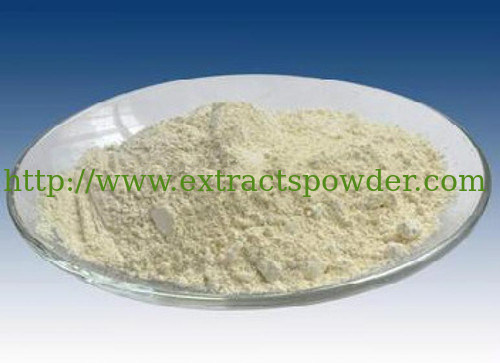 98%corosolic acid,corosolic acid powder,loquat leaf extract,banaba leaf ext. CAS:4547-24-4