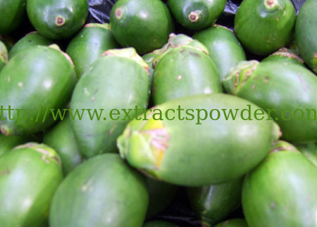 Areca Nut Extract,Areca Nut P.E.,Areca Nut Extract Powder,Betel Nut Extract,Betel Nut Ext.