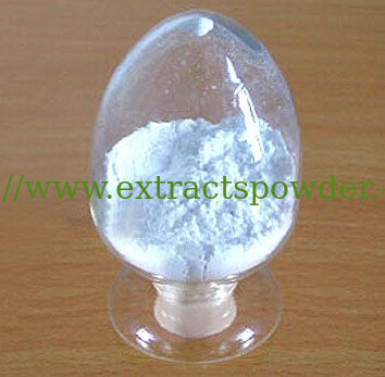 Ursolic Acid,Ursolic Acid Powder,Loquat Leaf P.E,Rosemary Extract CAS 77-52-1