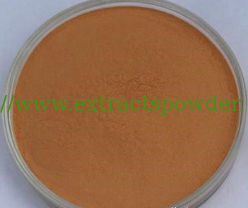 salvia officinalis extract salvianolic Acid B 5%, 20%, 40%, 60% CAS No.: 115939-25-8
