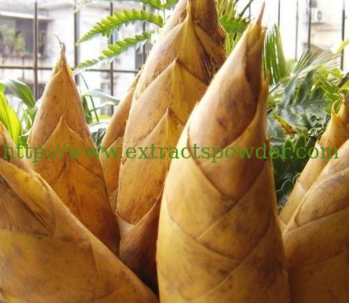 Plant Extract High Quality Bamboo Shoot Silica 50%-70%, Bamboo Silica,Silica,Silica powder
