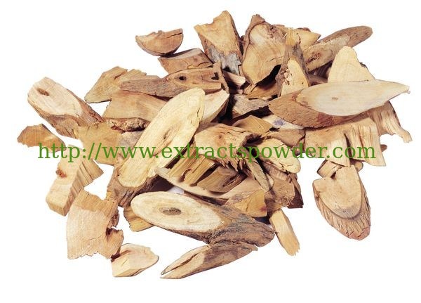 Angelica Extract powder,Dong Quai Extract powder,1% Ligustilide CAS No:4431-01-0