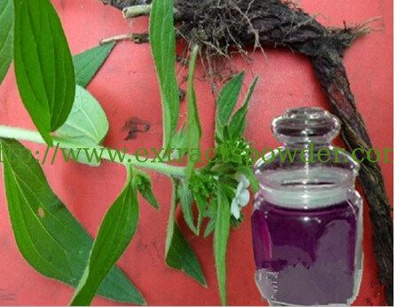 Healthy product Gromwell Extract Powder/Alkanet Extract Powder/Shikone Extract Powder 10:1