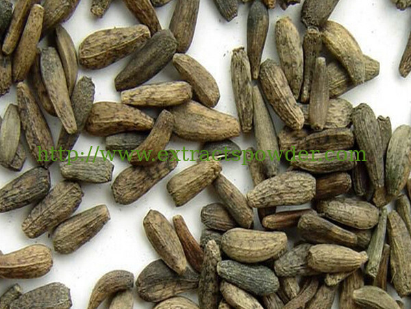 100% natural Arctium Extract, Arctiin, Arctigenin CAS No.: 20362-31-6, 7770-78-7