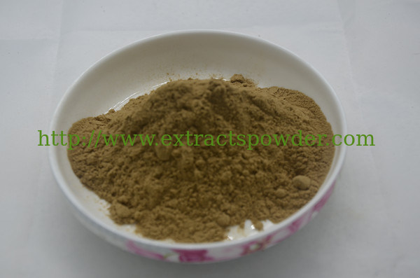 Sarsaponin,Yucca Extract,Yucca Extract Powder,Yucca P.E. CAS No:90147-57-2
