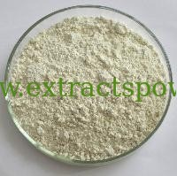 natural naringin powder 98% grapefruit extract/citrus fruit extract CAS No.:10236-47-2