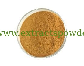 100% Pure Flax Lignans Flaxseed Hull extract Flaxseed extract SDG CAS: 148244-82-0