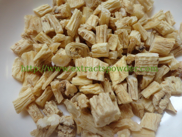 pure herb medicine Dangshen P.E./Codonopsis Pilosula P.E./Codonopsis Root P.E. 10:1