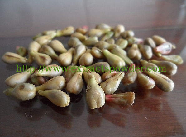 grape seed PAC powder 80%,grape seed extract 80%OPC,grape seed p.e. 80%OPC 84929-27-1