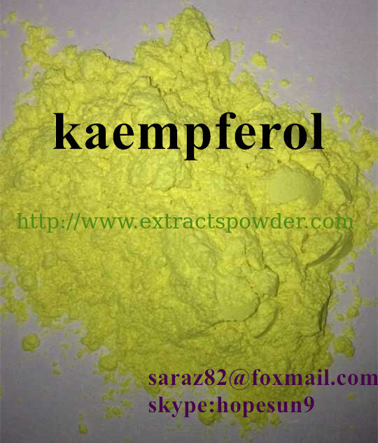 Anti-inflammation, Anti-bacteria,Kaempferol (Fructus sophorae P.E. ) CAS:520-18-3