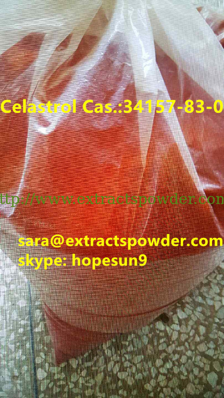 natural Celastrol powder 99%HPLC, Celastrol for nutritional supplement CAS:34157-83-0