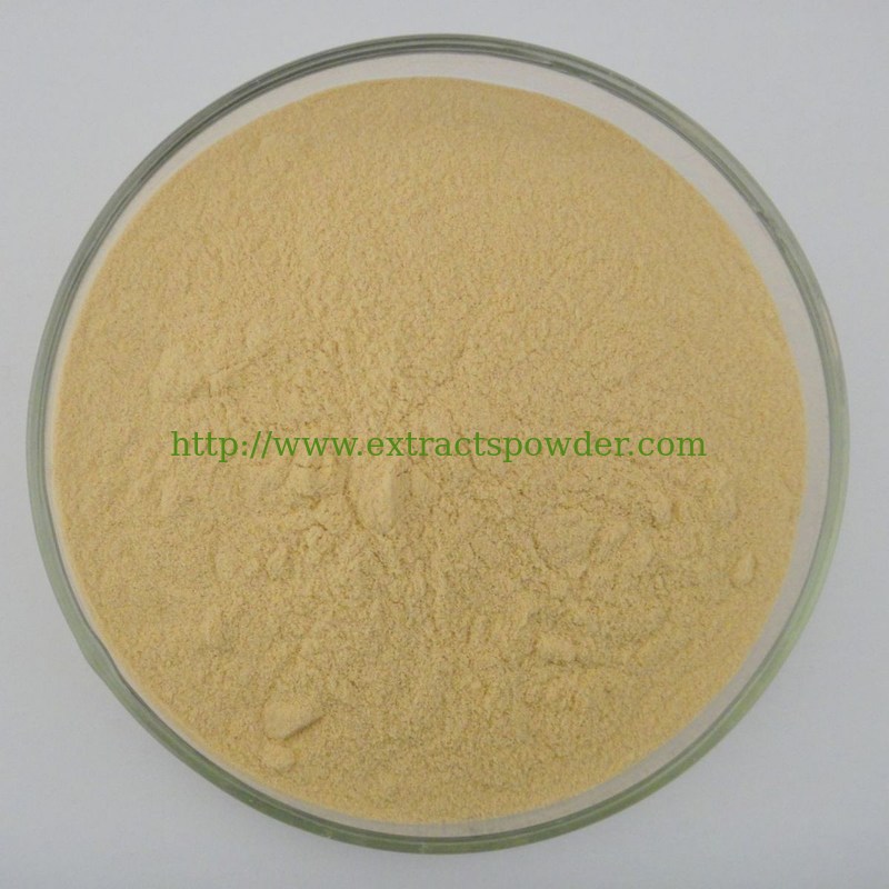 sea buckthorn berry extract-bulk,seabuckthorn fruit extract for dietary supplement