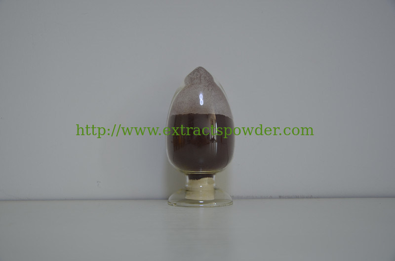 good water soluble Puer tea/Pu'er tea /Pu-erh tea extract for functional drinks
