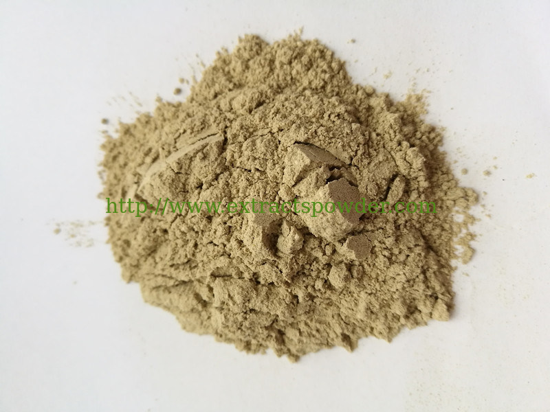 freeze dried Sea Cucumber Powder, pure Sea Cucumber Powder, Sea Cucumber Polysaccharides, ultrafine Sea Cucumber Powder