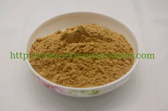 Antrodia cinnamomea Экстракт/полисахарид Antrodia cinnamomea
